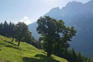 Wanderung Gschwantemad-Grindelalp, Engelhörner