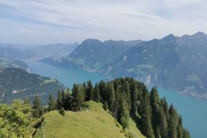 Aussicht vom Schartihöreli zum Urnersee