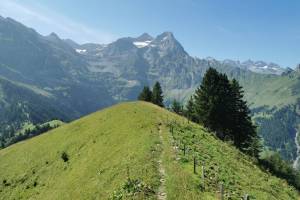 Bergwanderung Isenthal - Schartihöreli