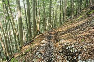 Bergwanderung Isenthal - Schartihöreli