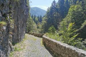 Weg oberhalb der Giessbachschlucht