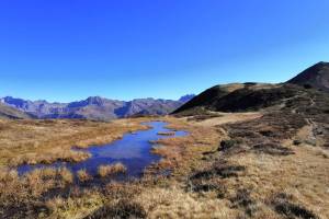 Bergseelein auf Gafäll