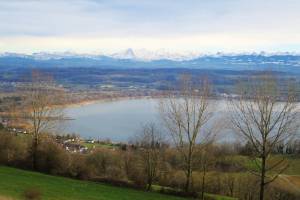 Murtensee