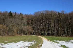 Wanderung Seewen - Schartenflue - Dornach