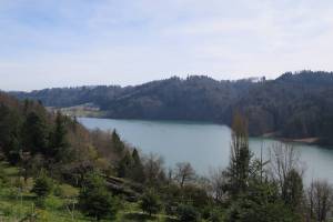 Wohlensee