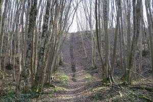 Wanderung Chancy - Vers Vaux