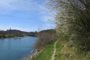 Aare