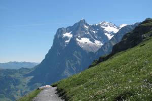 Eigertrail Wetterhorn