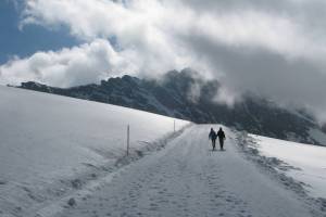 Wanderung Jungfraujoch - Mönchsjochhütte