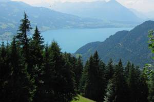 Harder Thunersee