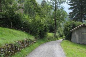 Wanderung Wilderswil - Zweilütschinen