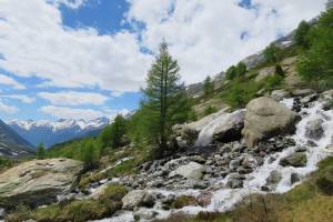 Lötschental