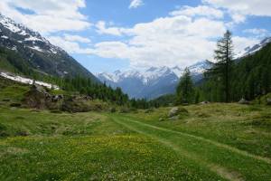 Lötschental