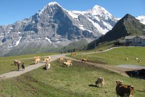 Wanderung Männlichen - Kleine Scheidegg