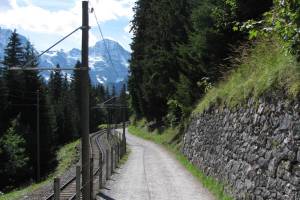 Wanderung Grütschalp - Winteregg - Mürren