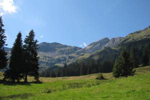 Wanderung Grütschalp - Winteregg - Mürren