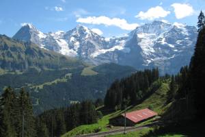 Wanderung Grütschalp - Winteregg - Mürren