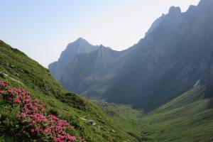 Aufstieg zum Rotsteinpass