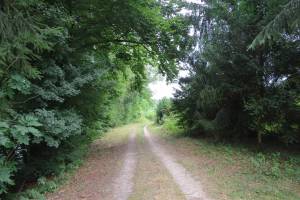 Aare-Uferweg Wanderung Wangen a.A. - Aarwangen - Murgenthal