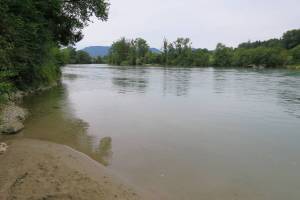 Aare Wanderung Wangen a.A. - Aarwangen - Murgenthal