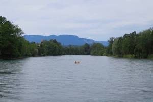 Aare Wanderung Wangen a.A. - Aarwangen - Murgenthal