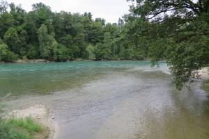 Aare Wanderung Wangen a.A. - Aarwangen - Murgenthal