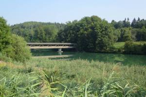 Reuss bei Hermetschwil