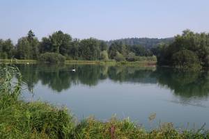 Flachsee