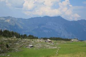 Bättenalp