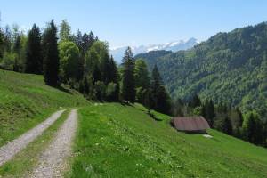 Wanderung Habkern - Luegiboden - Interlaken