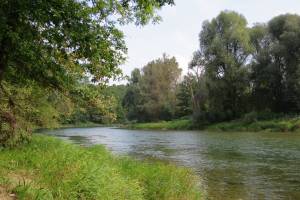 Aare Schachen