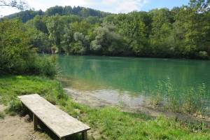 Aare Erlinsbach