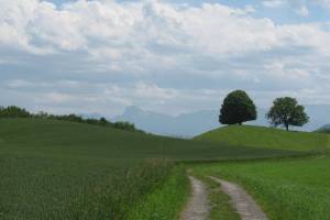 Gürbetaler Höhenweg