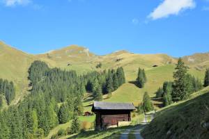 Wanderung Metschhorn - Lenk