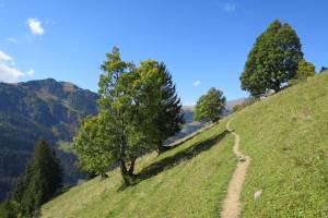 Wanderung Metschhorn - Lenk