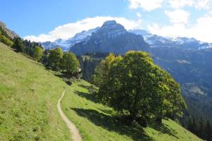 Wanderung Metschhorn - Lenk