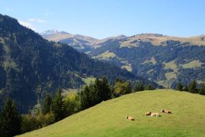 Wanderung Metschhorn - Lenk