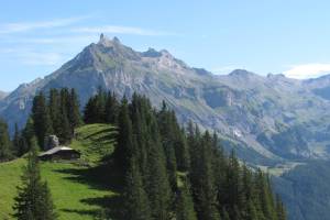 Kandersteg Allmenalp