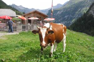 Usser Ueschene Kandersteg