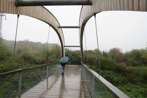 Aare zwischen Aarau und Schinznach