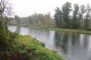 Aare zwischen Aarau und Schinznach