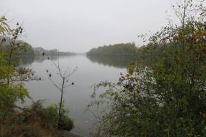 Aare zwischen Aarau und Schinznach