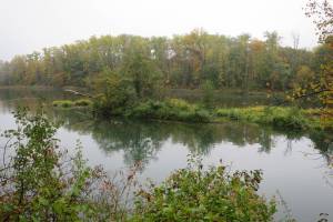 Aare zwischen Aarau und Schinznach