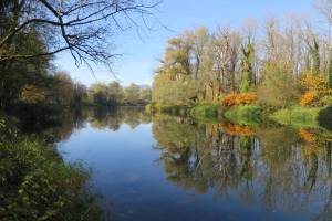 Aare zwischen Schinznach und Brugg