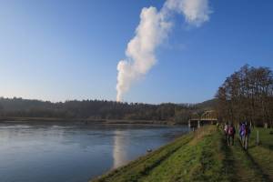 Aare bei Koblenz