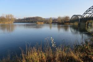 Aaremündung in den Rhein bei Koblenz