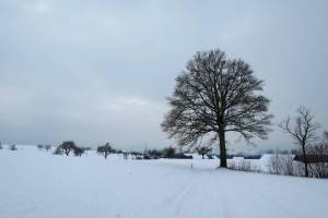 Wanderung Sursee - Beromünster - Menziken