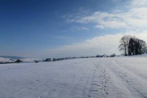 Wanderung Sursee - Beromünster - Menziken