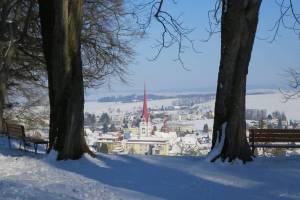 Waldkathedrale Beromünster