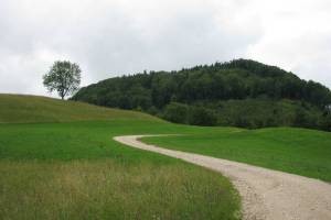 Wanderung Bärschwil - Regenass - Erschwil